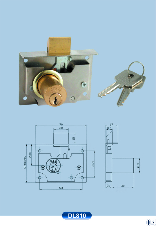 DL810